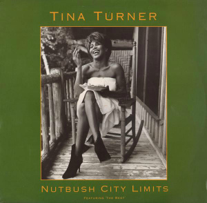Файл:Tina Turner - Nutbush City Limits (The 90s Version).jpg