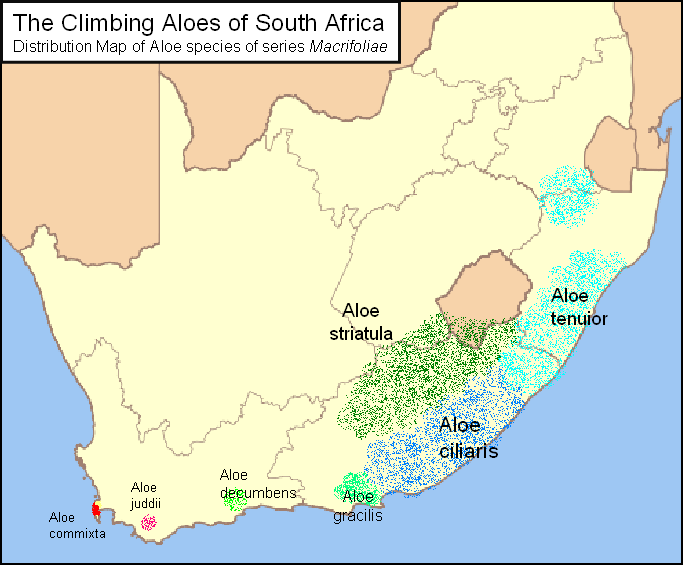 Файл:Map of Macrifoliae Aloes.png
