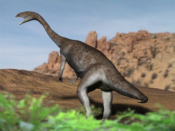 Файл:Anchisaurus NT.jpg