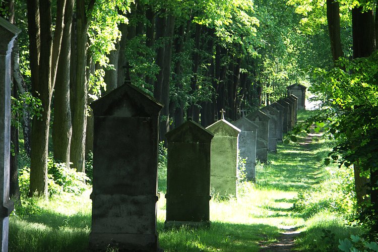 Файл:Cvikkreuzberg.jpg