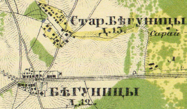 План деревни Бегуницы. 1860 год