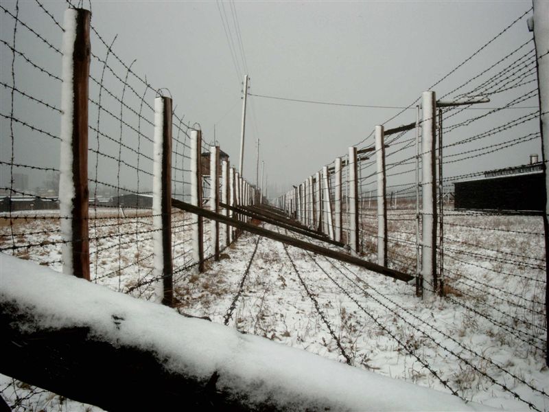 Файл:Majdanek hek.jpg