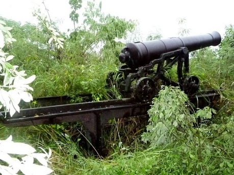 Файл:Fort Haldane Cannon.jpg