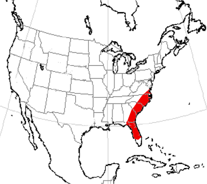 Файл:Kryptoceras range.png