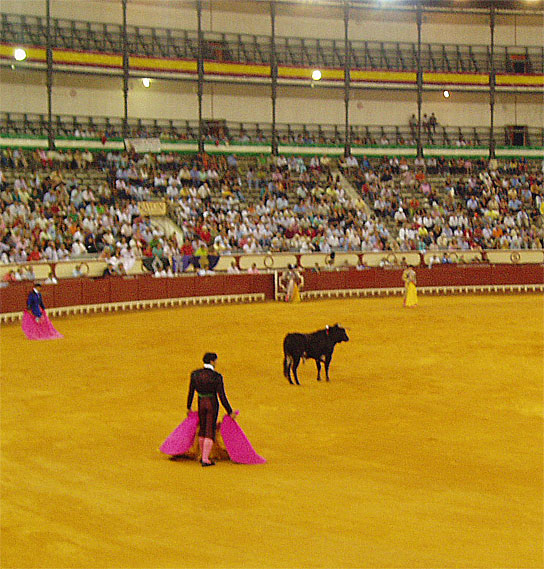 Файл:Novillada-2007.jpg
