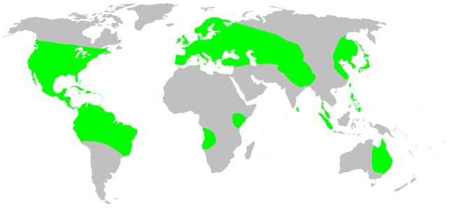Файл:Distribution.theridiosomatidae.1.png
