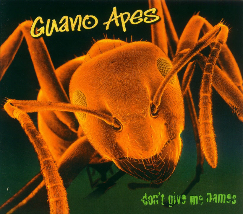 Файл:Guano Apes - Don’t Give Me Names.jpg