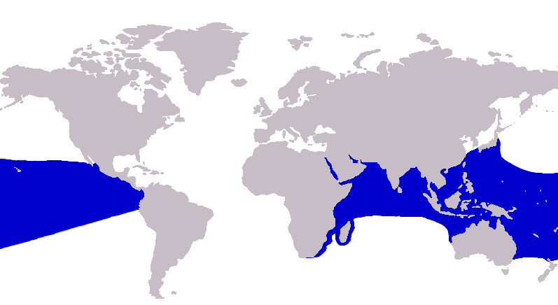 Файл:Gnathanodon speciosus distribution.png