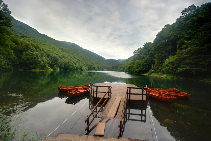 Файл:Biogradska Gora.jpg