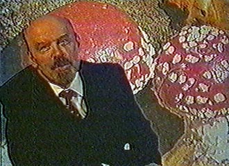 Файл:Lenin is mushroom.jpg