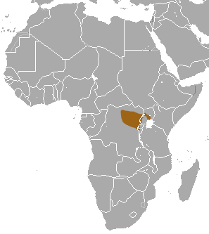 Файл:Armored Shrew area.png