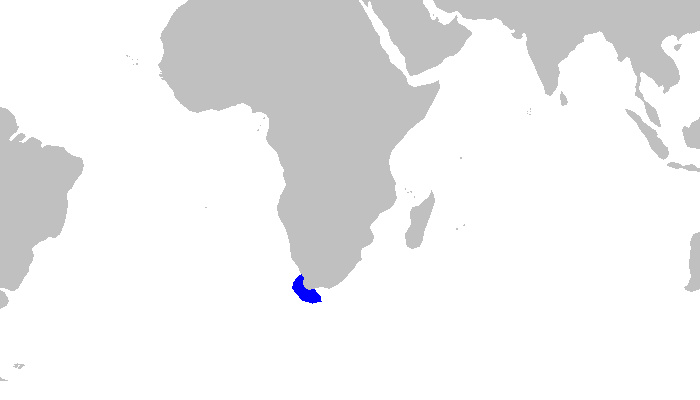 Файл:Apristurus saldanha distmap.png