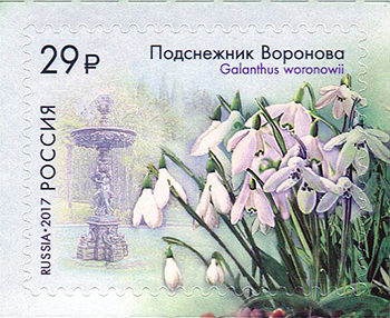 Файл:RUSMARKA-2208.jpg