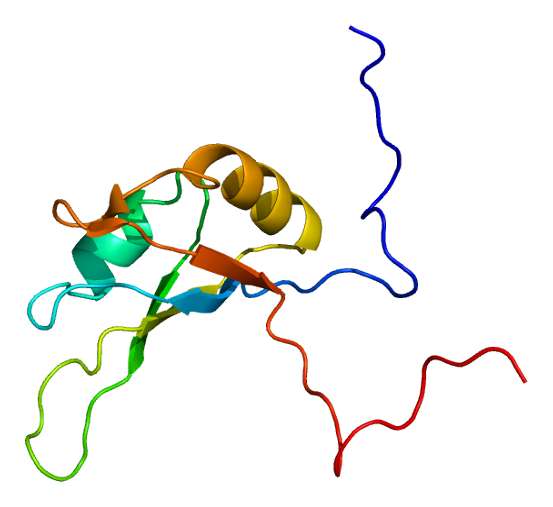 Файл:Protein NCL PDB 2fc8.png