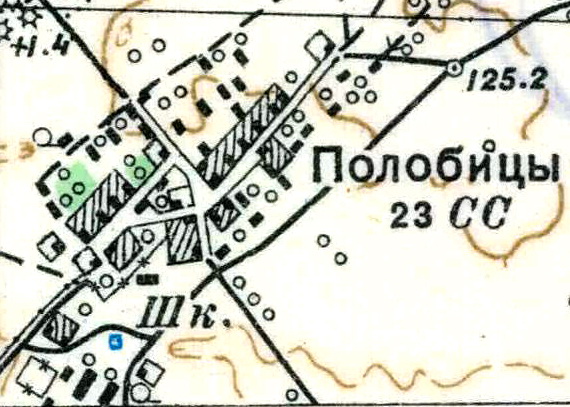 План деревни Полобицы. 1938 год