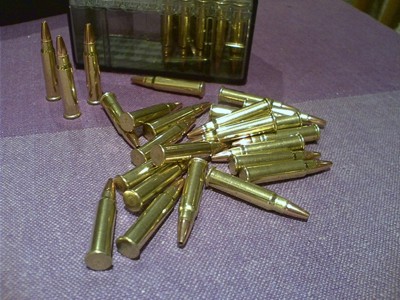 Файл:17HMR rounds2.jpg