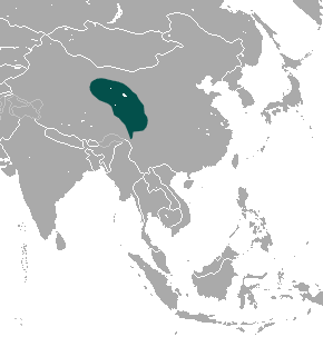 Файл:Chinese Red Pika area.png