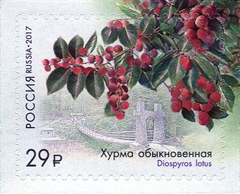 Файл:RUSMARKA-2210.jpg