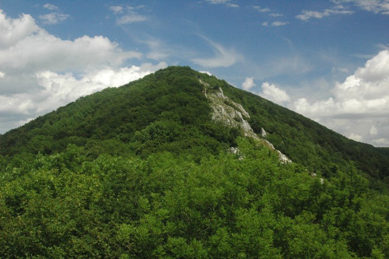 Файл:Zaruby peak.jpg