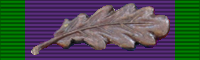 Файл:General Service Medal 1962 BAR MID.png