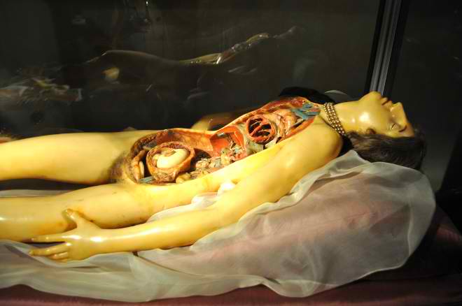 Файл:Museo Palazzo Poggi.jpg