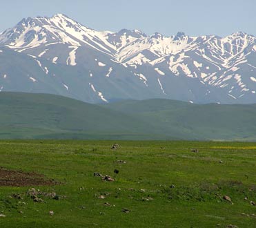 Файл:Aramazmountaina.jpg