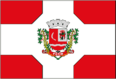 Файл:Potim bandeira.png