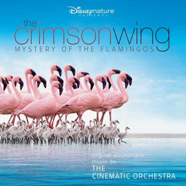 Файл:The Cinematic Orchestra - The Crimson Wing Mystery of the Flamingos.jpeg