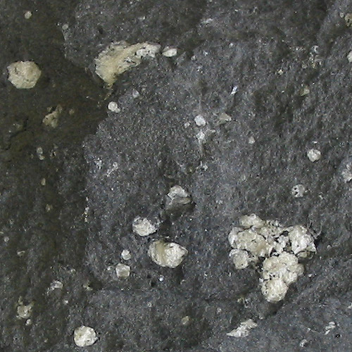 Файл:Amygdaloidal andesite.jpg