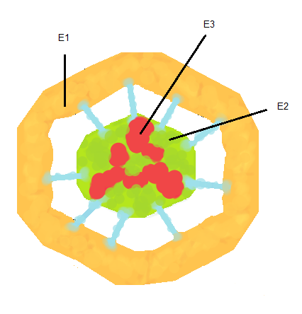 Файл:Complex piruvat deshidrogenasa.png