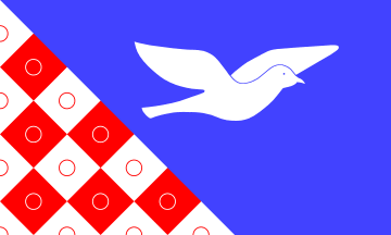 Файл:Flagge Duvensee.png