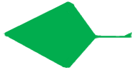 Файл:Leaf morphology trullate.png