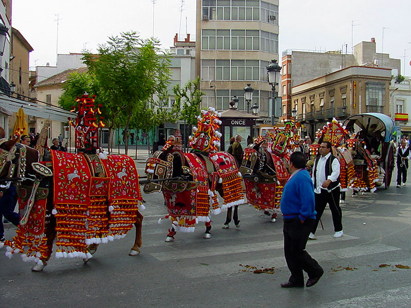 Файл:Reata-de-mulas.jpg