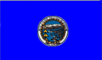 Файл:Washoe Nation flag.png