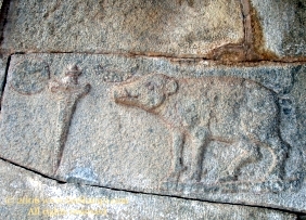 Файл:Vijayanagara royal insignia.jpg