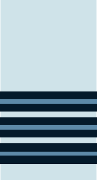 Файл:Wing Commander of IAF.png