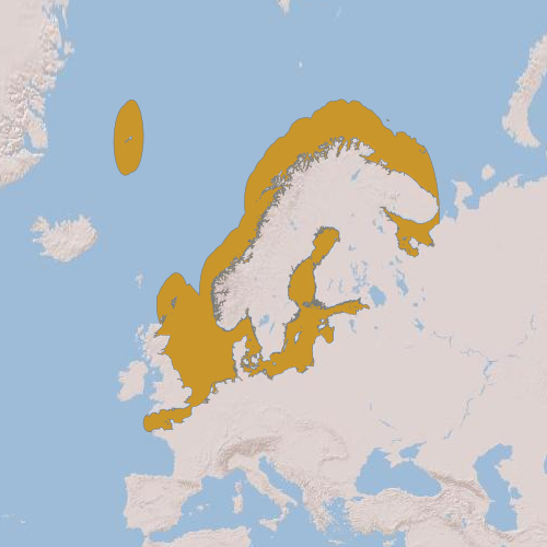 Файл:Agonus cataphractus geographic range.png