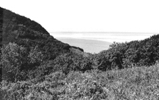 Файл:Iyatayet Site.jpg