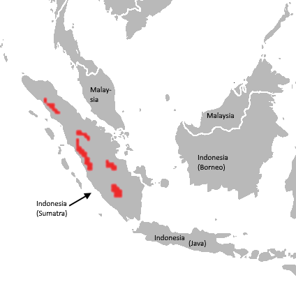 Файл:Panthera tigris sumatrae distribution map.png