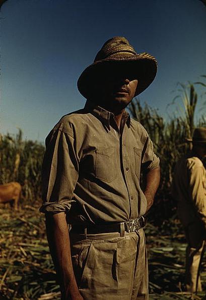 Файл:Jibaro.jpg