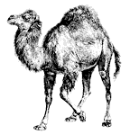 Perl logo.png
