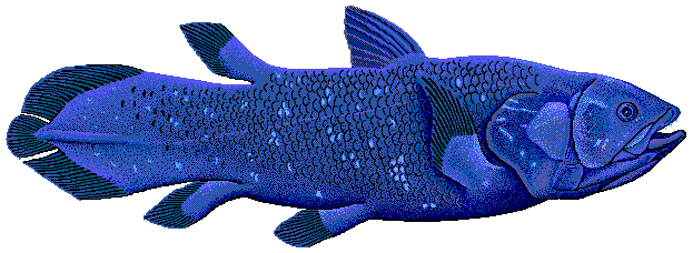 Файл:Coelacanth flipped.png