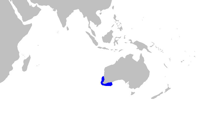 Файл:Aulohalaelurus labiosus distmap.png
