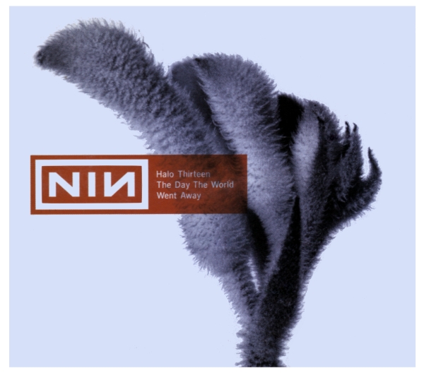 Файл:Nine Inch Nails - The Day the World Went Away.jpg