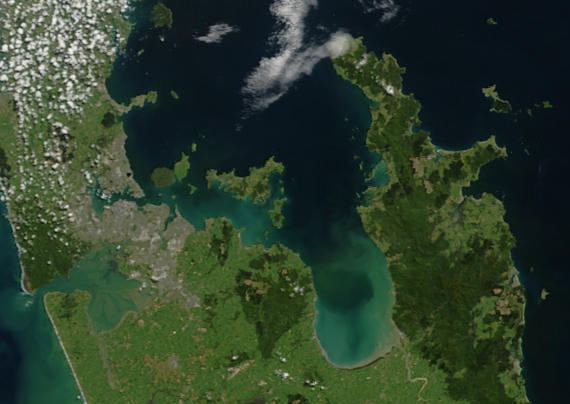 Файл:Coromandel.arp.375pix.jpg