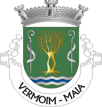 Файл:MAI-vermoim.png