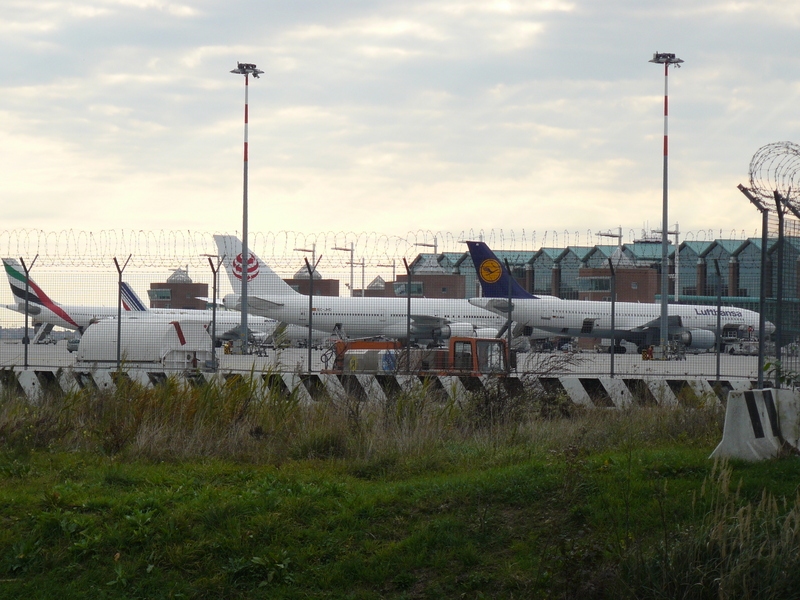 Файл:Terminal venice.jpg