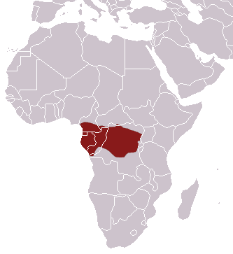 Файл:African Linsang area.png
