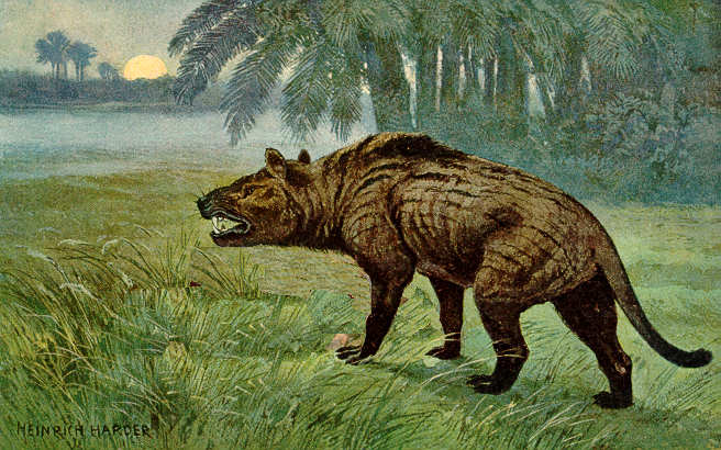 Файл:Hyaenodon Heinrich Harder.jpeg