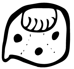 Файл:MAYA-g-log-cal-D14-Ix-cdxW.png